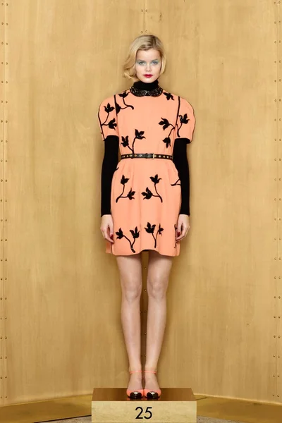 Look 25